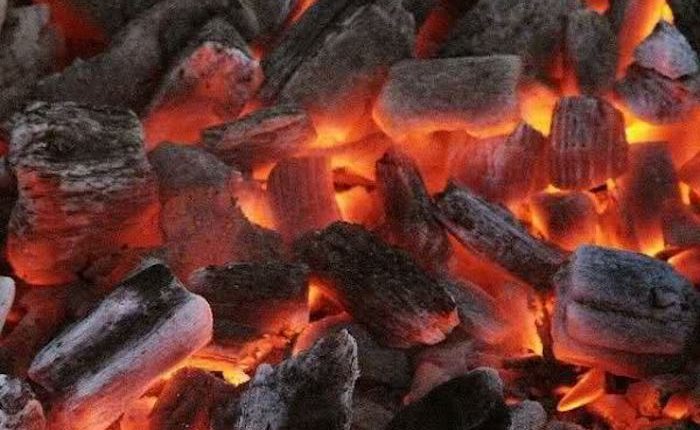 Mersin'de zeytin çekirdeğinden piroliz yöntemiyle biyokömür üretilecek